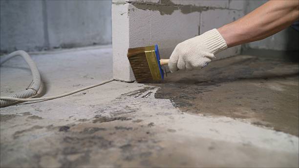 24/7 Emergency Wet Basement Repair experts in Auburn, KY